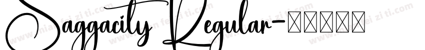 Saggacity Regular字体转换